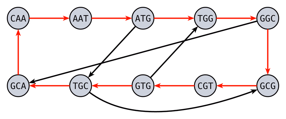 Hamiltonian Graph