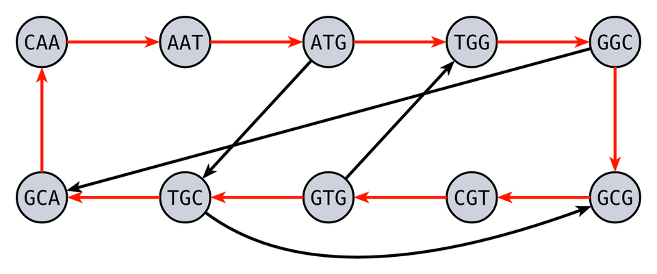 Hamiltonian Graph