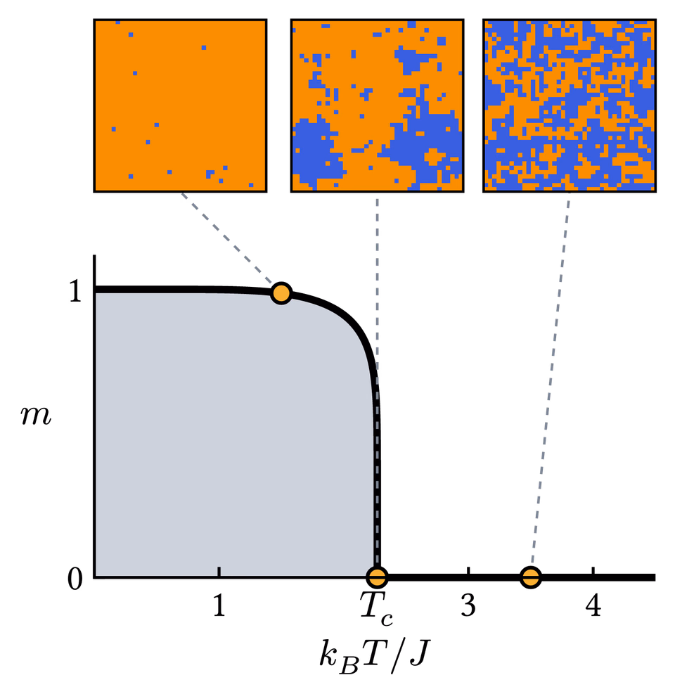 Ising Model Phase Transition