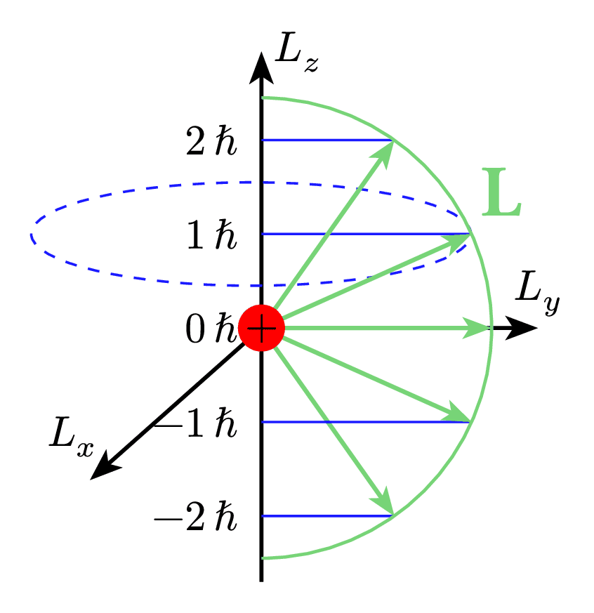 Angular Momentum Quantization