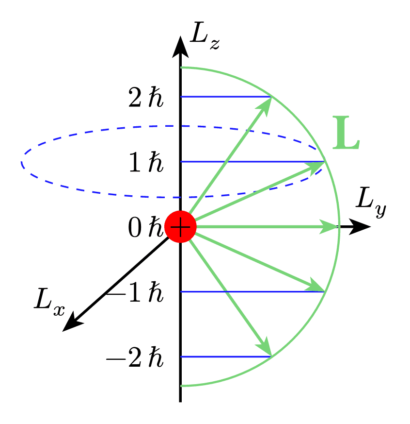 Angular Momentum Quantization