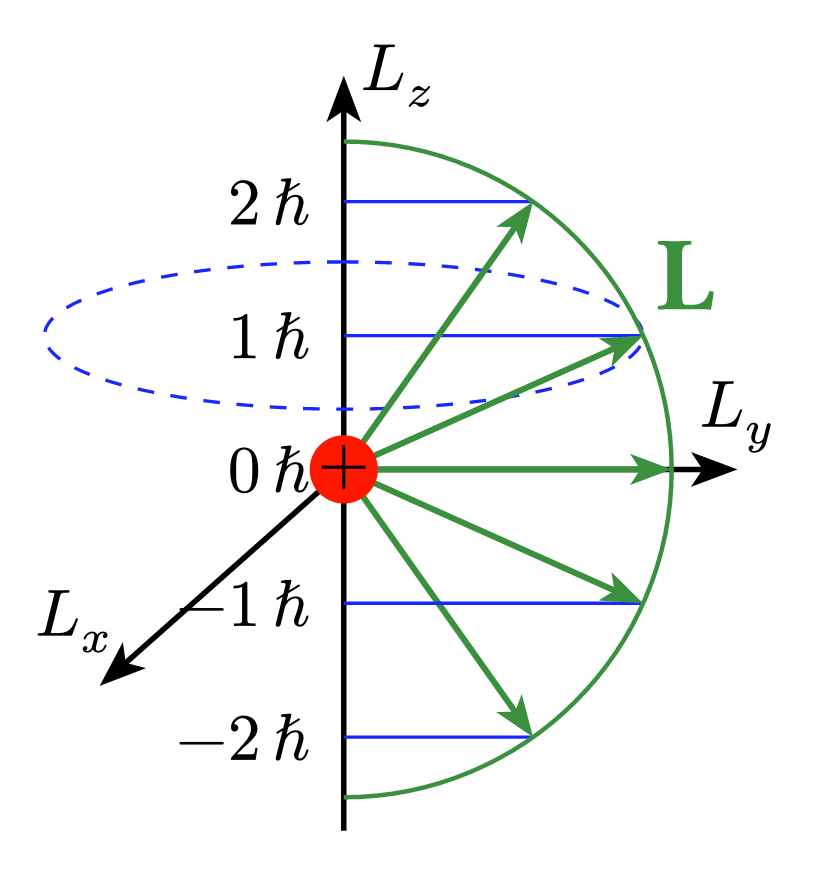 Angular Momentum Quantization