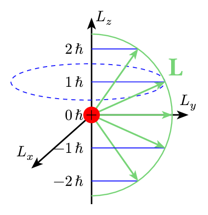 Angular Momentum Quantization
