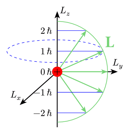 Angular Momentum Quantization