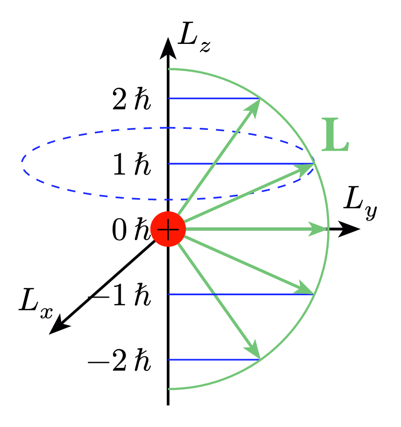 Angular Momentum Quantization