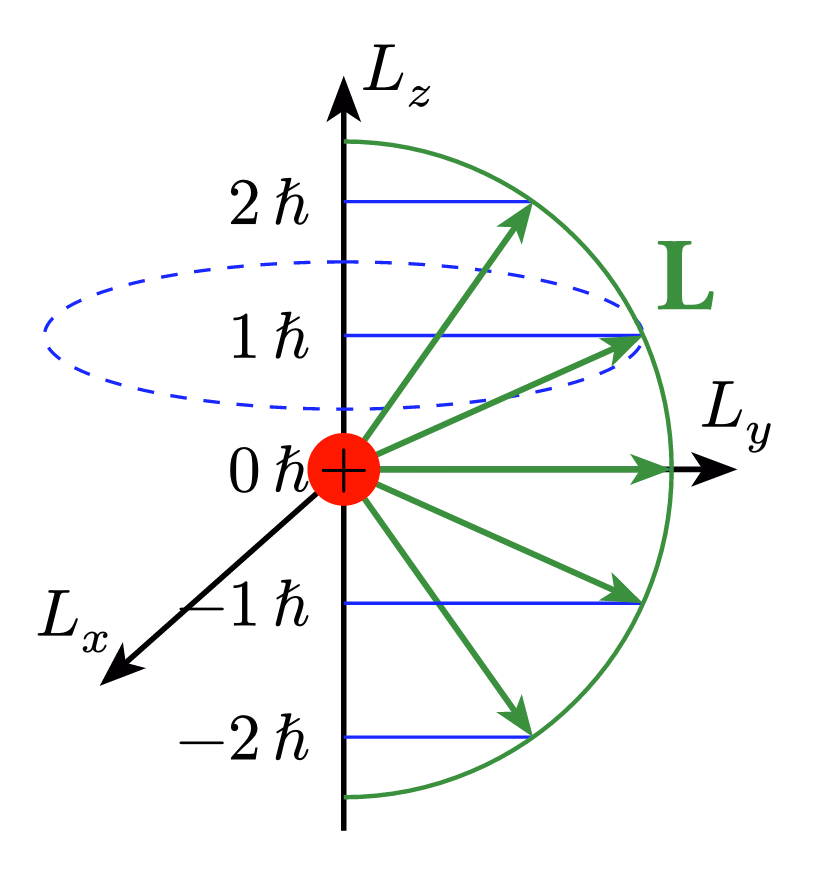 Angular Momentum Quantization
