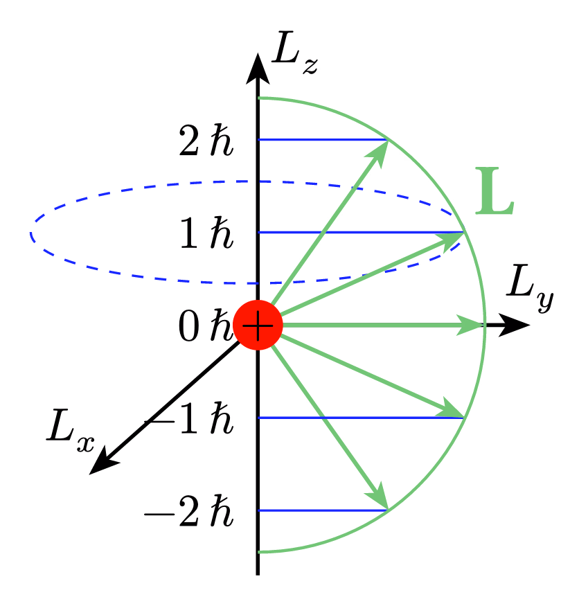 Angular Momentum Quantization