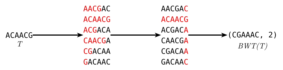 Burrows-Wheeler Transform
