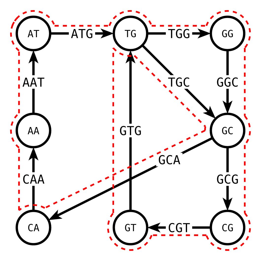 De Bruijn Graph