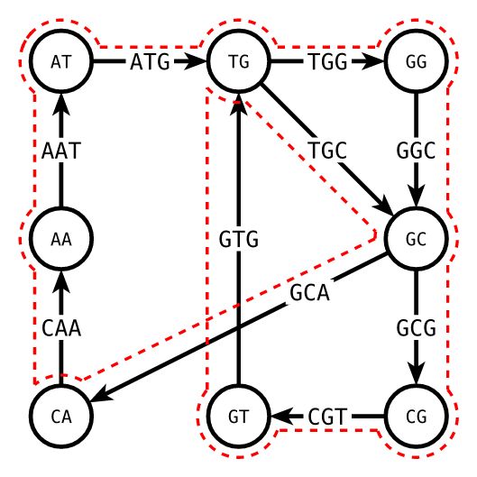 De Bruijn Graph