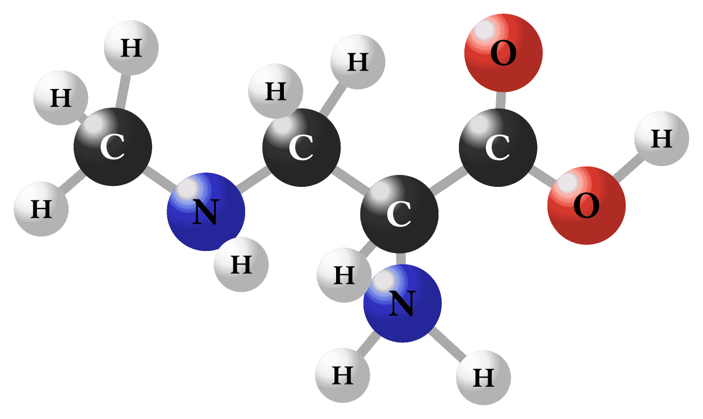 Organic Molecule