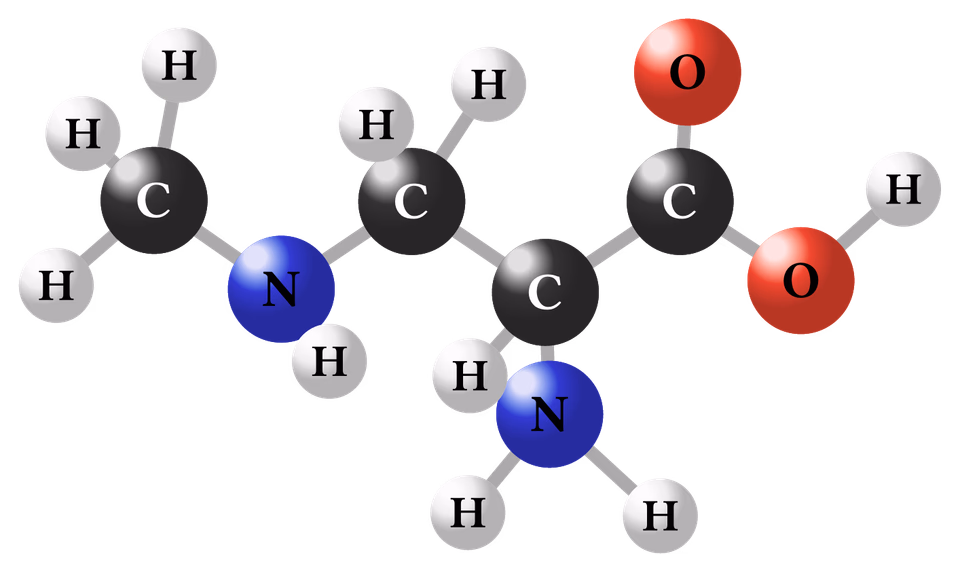 Organic Molecule