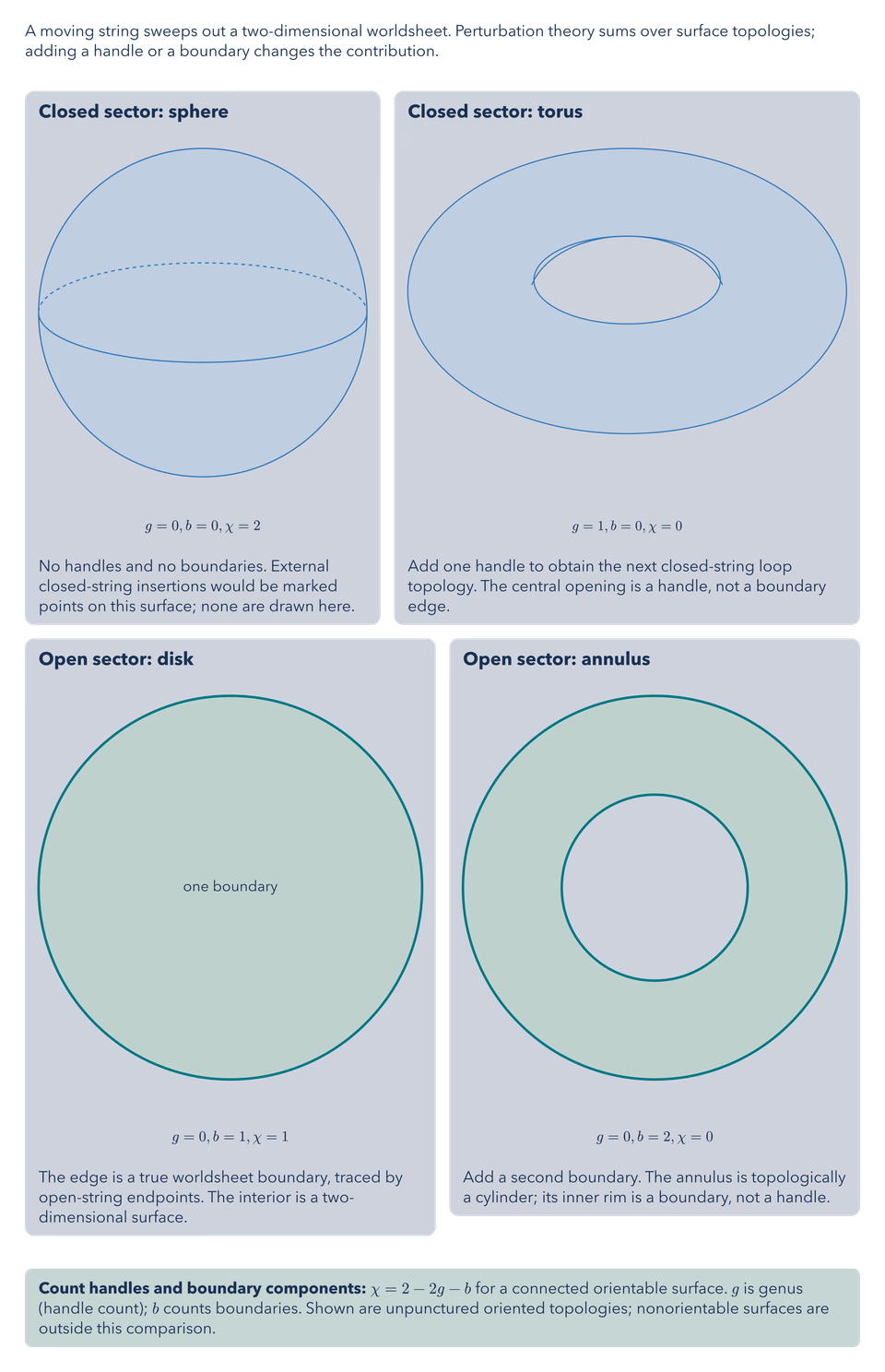String Worldsheet Topologies
