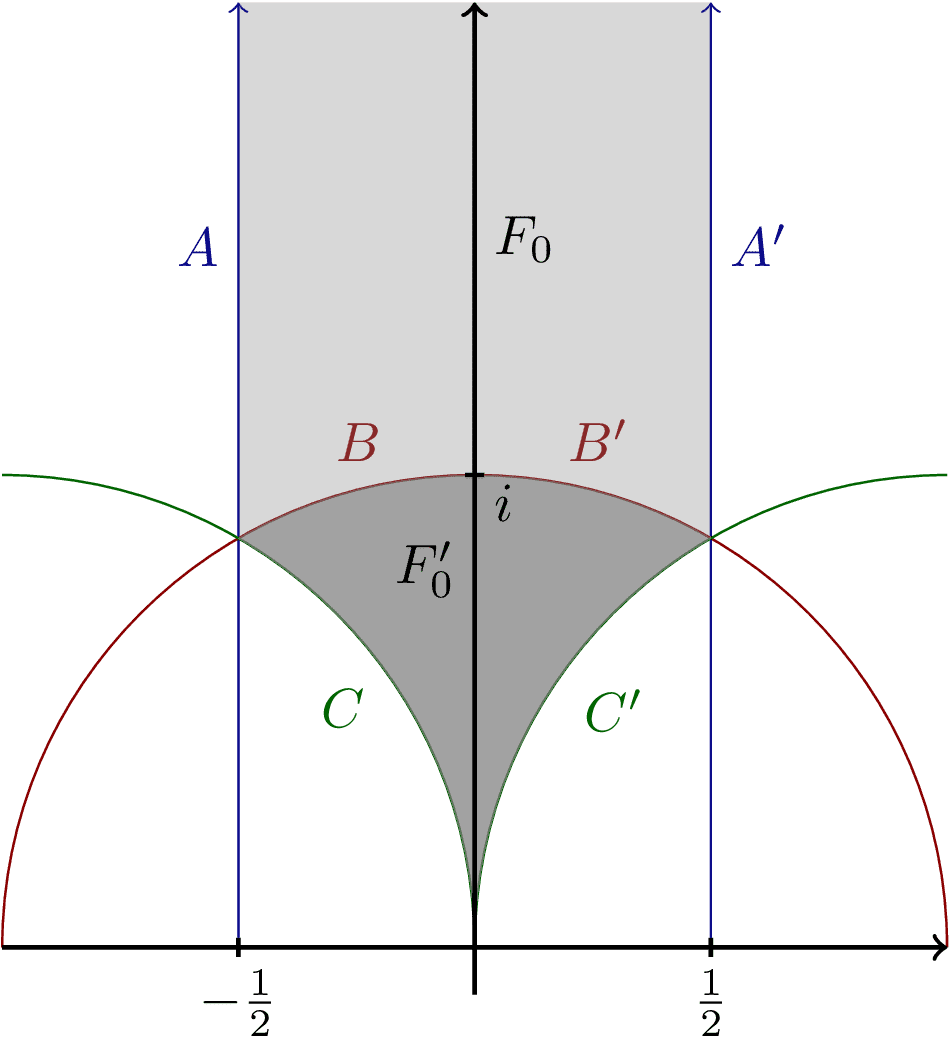 Torus Fundamental Domain